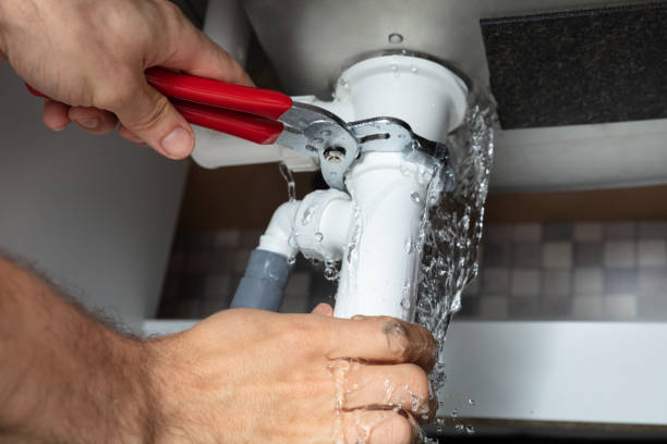 Best Mold removal after water damage  in Westmont, NJ