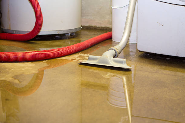 Best Flood restoration services  in Westmont, NJ
