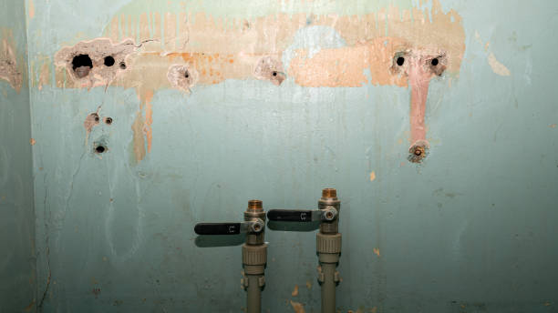 Best Carpet water damage restoration  in Westmont, NJ