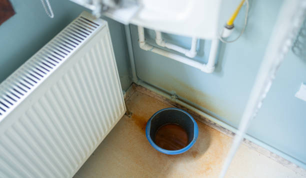 Best Local water damage restoration  in Westmont, NJ