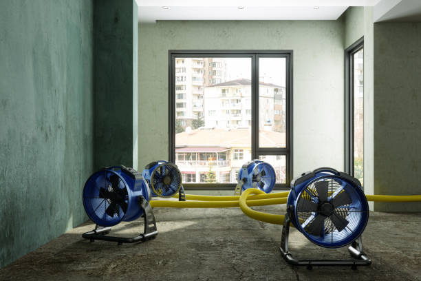 Best Commercial water damage restoration  in Westmont, NJ